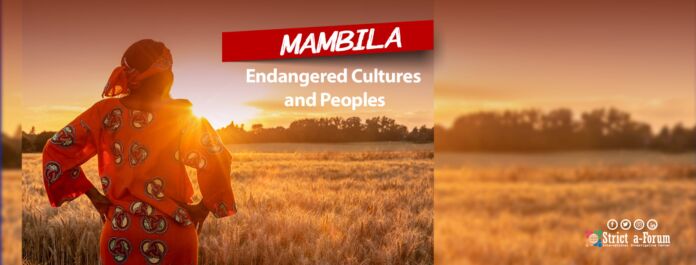 Endangered Cultures and Peoples-Mambila