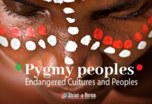 Endangered Cultures and Peoples: Pygmy peoples Pygmy peoples