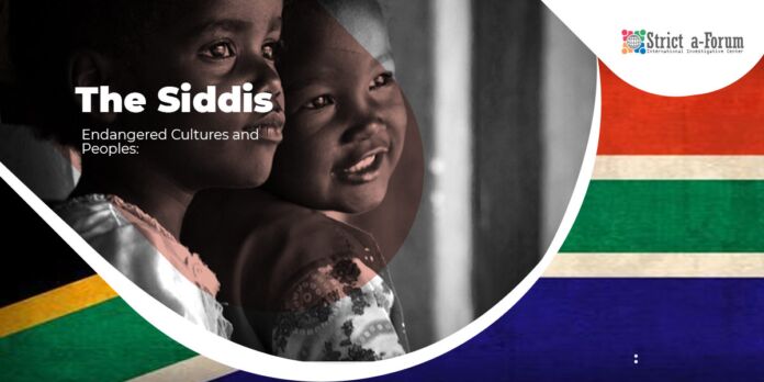 The Siddis